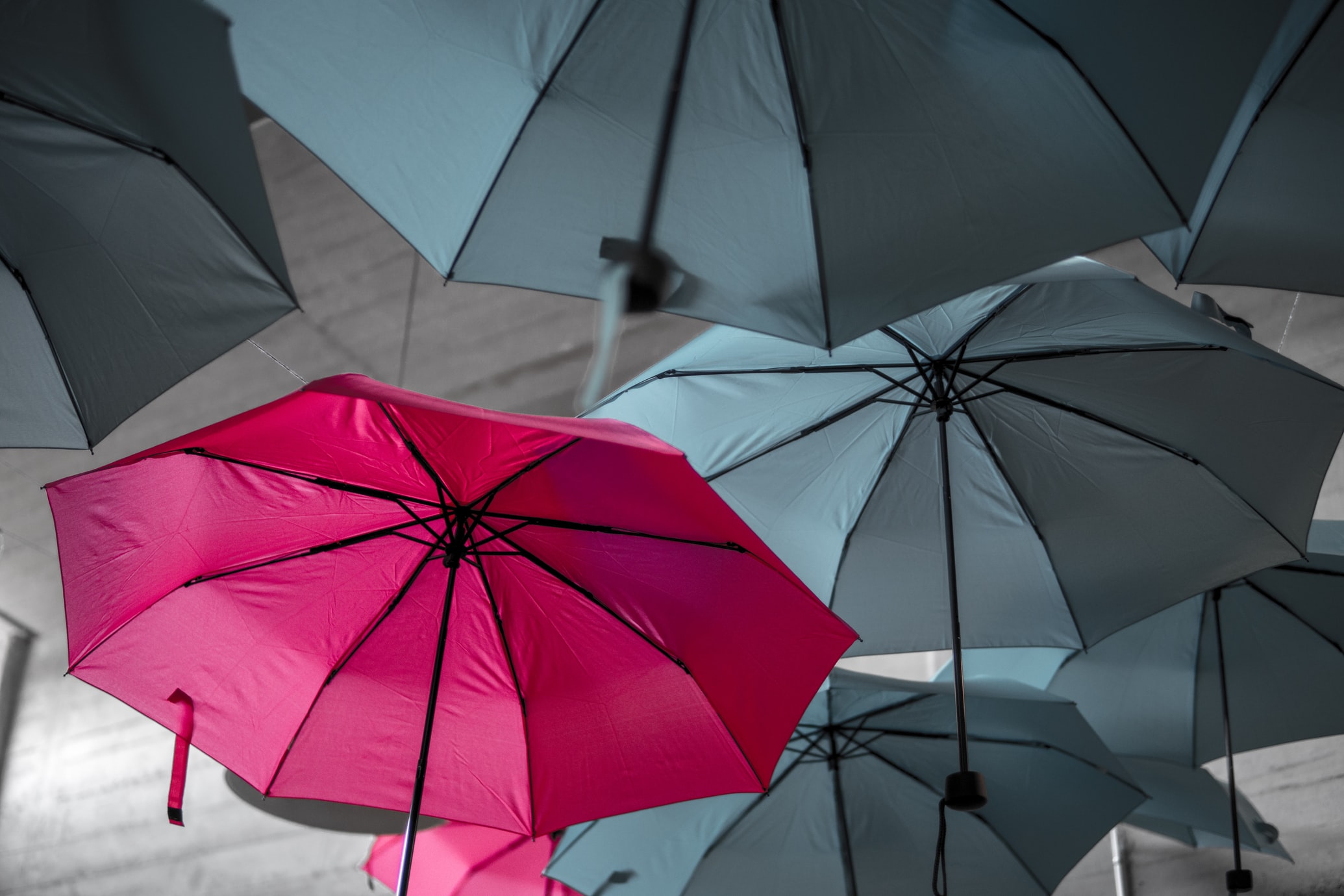 a red umbrella floating among gray umbrellas